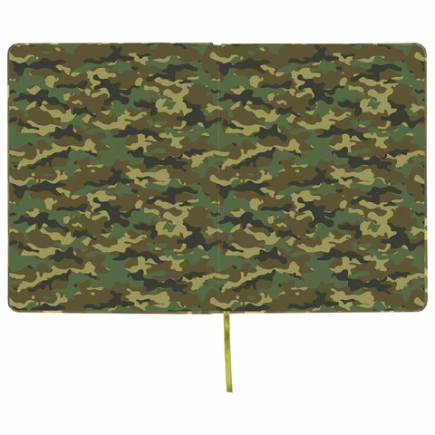 Дневник 1-11 класс 48 л., обложка кожзам (твердая), печать, аппликация,