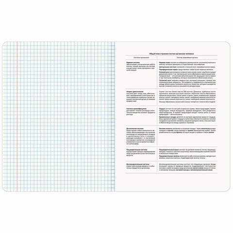 Тетрадь предметная "GRADIENT" 48 л., матовая ламинация, лак, БИОЛОГИЯ,