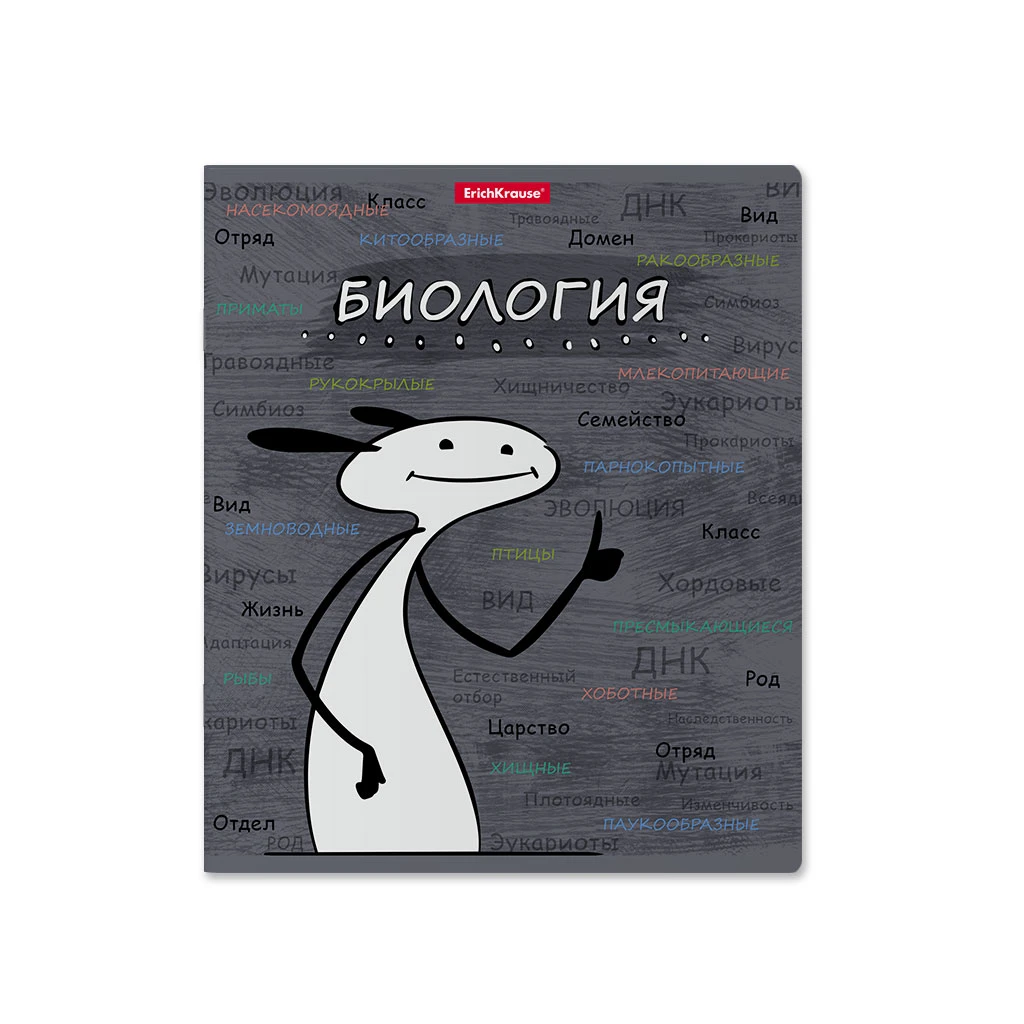 Тетрадь общая ученическая с пластиковой обложкой на скобе ErichKrause® Чубрик, Тетрадь общая ученическая с пластиковой обложкой на скобе ErichKrause® Чубрик,
