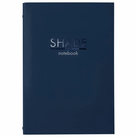 Тетрадь на кольцах БОЛЬШАЯ 225х302 мм А4, 100 л., обложка картон, клетка,