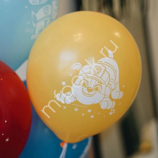 Набор шаров Щенячий Патруль ассорти, с рисунком, 5 штук. M 12"/30см