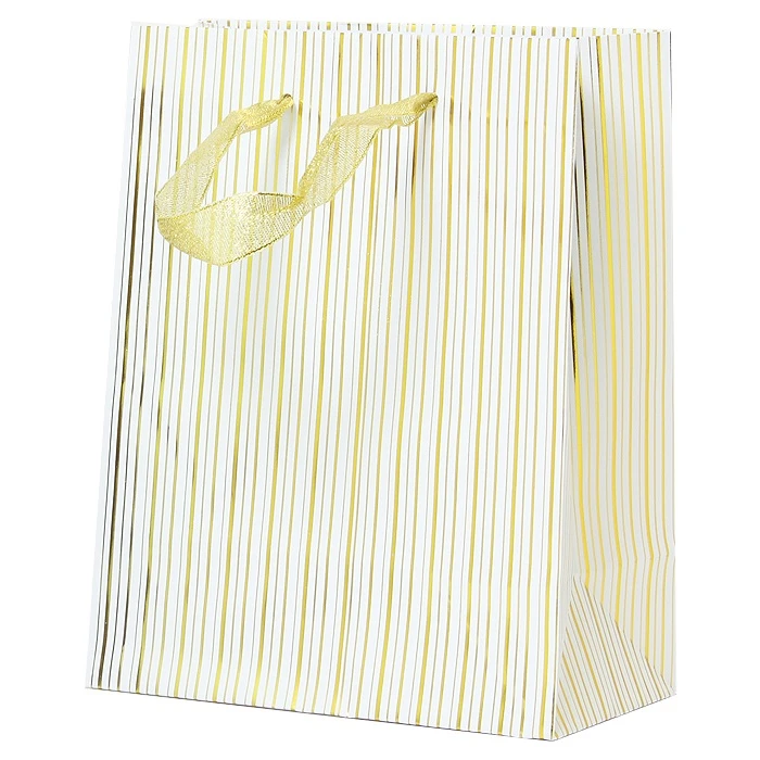 Пакет подарочный 23*18*10см "Darvish" полоски Пакет подарочный 23*18*10см "Darvish" полоски