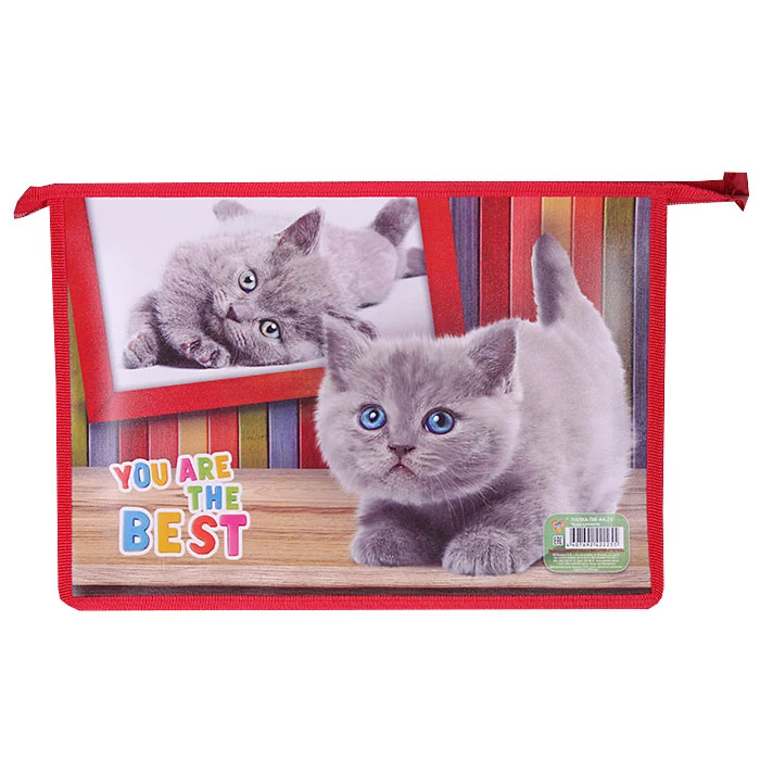 Папка для тетрадей А4 на молнии Чудо котёнок Папка для тетрадей А4 на молнии Чудо котёнок