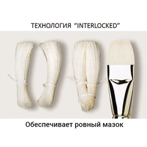 Кисть художественная профессиональная BRAUBERG ART "CLASSIC", щетина, Кисть художественная профессиональная BRAUBERG ART "CLASSIC", щетина,