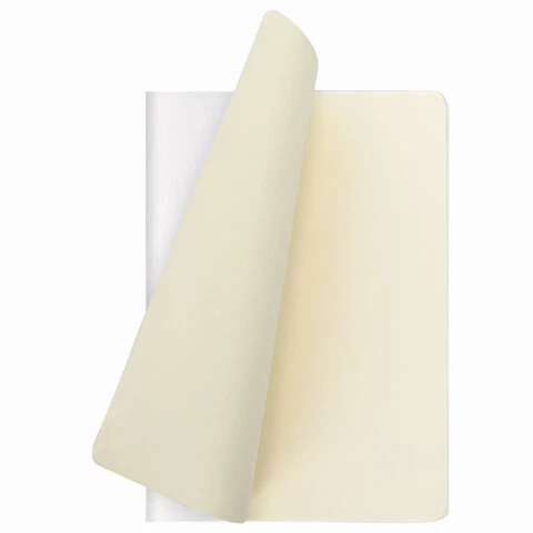 Тетрадь 48 л. в точку обложка кожзам SoftTouch, сшивка, A5 (147х210мм), БЕЛЫЙ,