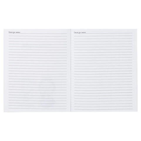 Читательский дневник школьника А5 40 листов, ПИФАГОР, "Кот учёный", Читательский дневник школьника А5 40 листов, ПИФАГОР, "Кот учёный",