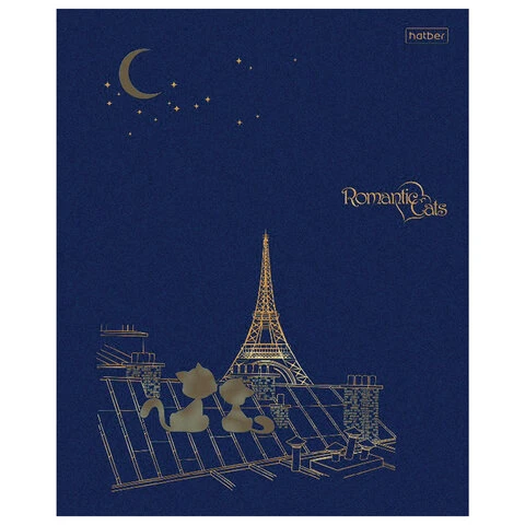 Тетрадь А5 48 листов HATBER скоба, клетка, матовая ламинация, 3D, Тетрадь А5 48 листов HATBER скоба, клетка, матовая ламинация, 3D,