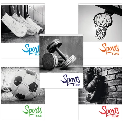 Тетрадь А5, 48 л., BRAUBERG, клетка, обложка картон, СПОРТ, 403035 Тетрадь А5, 48 л., BRAUBERG, клетка, обложка картон, СПОРТ, 403035