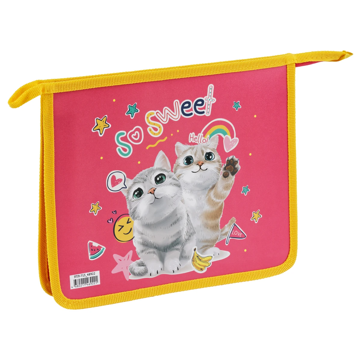 Папка для тетрадей 1 отделение, А5, ArtSpace "Cute Cats",