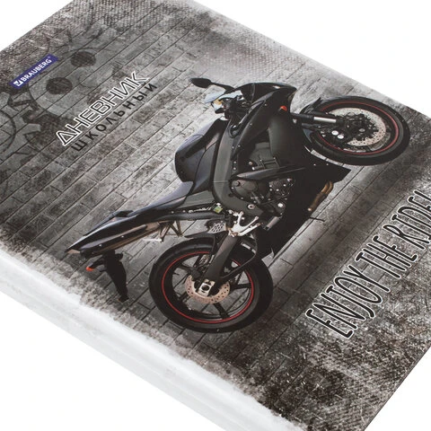 Дневник 5-11 класс 48 л., твердый, BRAUBERG, глянцевая ламинация, с подсказом,