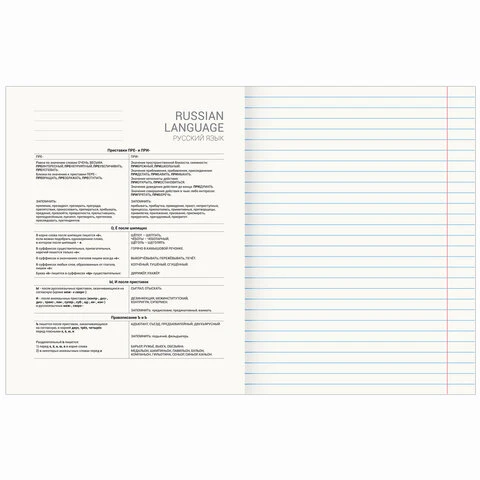Тетрадь предметная "КЛАССИКА NEW" 48 л., обложка картон, РУССКИЙ ЯЗЫК,