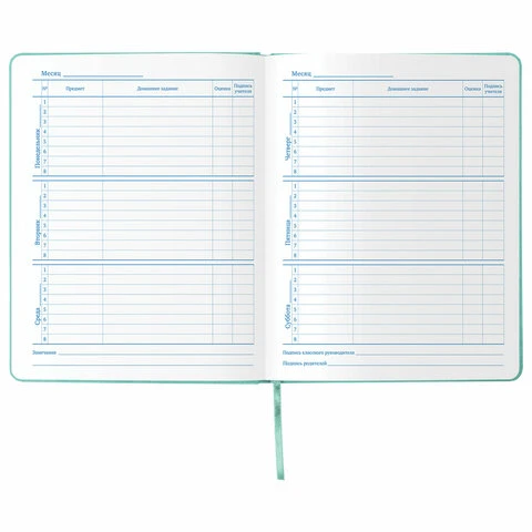 Дневник 1-11 класс 48 л., обложка кожзам (твердая), тиснение, аппликация,