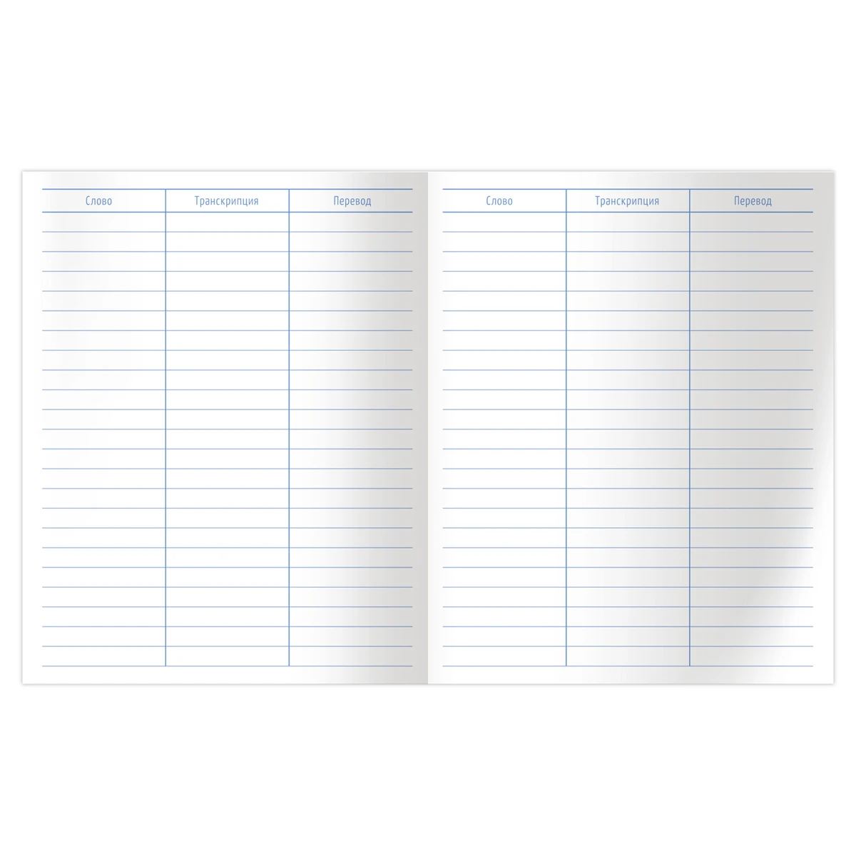 Тетрадь-словарик 48л., А5 для записи иностранных слов BG "Do you Тетрадь-словарик 48л., А5 для записи иностранных слов BG "Do you