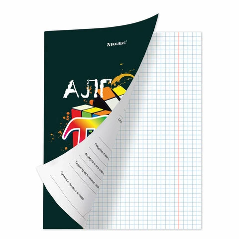 Тетрадь предметная со справочным материалом ORIGINAL 48 л., TWIN лак, АЛГЕБРА, Тетрадь предметная со справочным материалом ORIGINAL 48 л., TWIN лак, АЛГЕБРА,