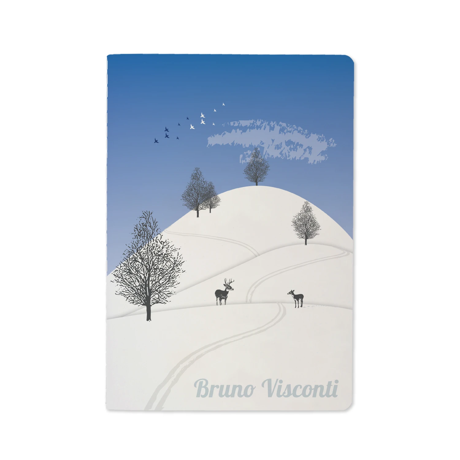 НАБОР ПОДАРОЧНЫЙ "ЗИМА.ХОЛМЫ" (ДВЕ ТЕТРАДИ BV И РУЧКА)