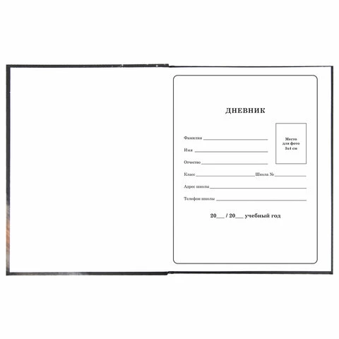 Дневник 1-4 класс 48 листов, твердый, BRAUBERG, блестки, с подсказом,