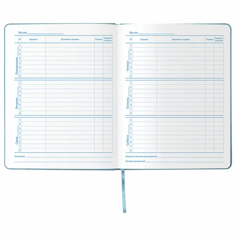 Дневник 1-11 класс 48 л., обложка кожзам (твердая), тиснение, аппликация,