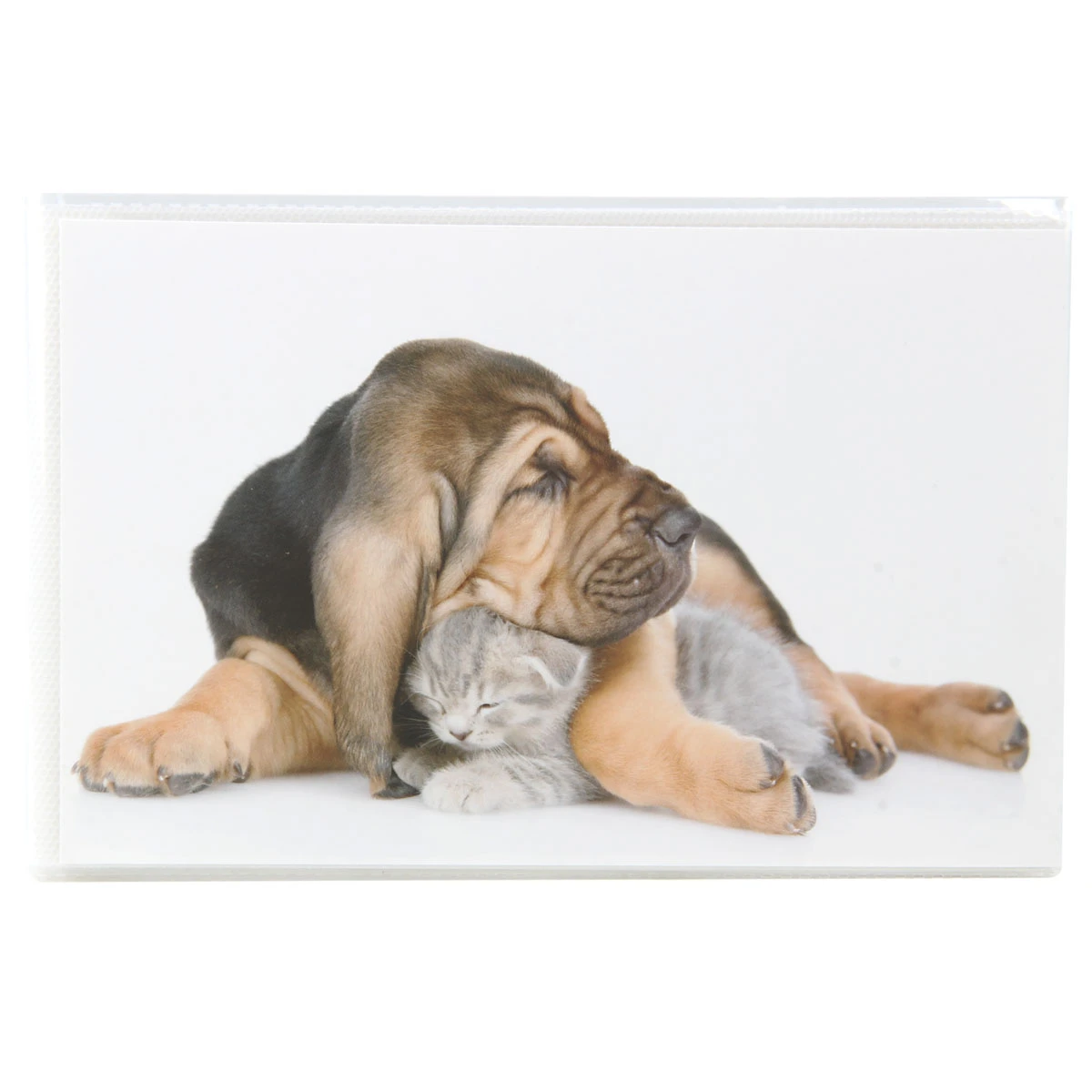 Фотоальбом 36ф 10X15см, ПП карм., мягкая обложка Фотоальбом 36ф 10X15см, ПП карм., мягкая обложка