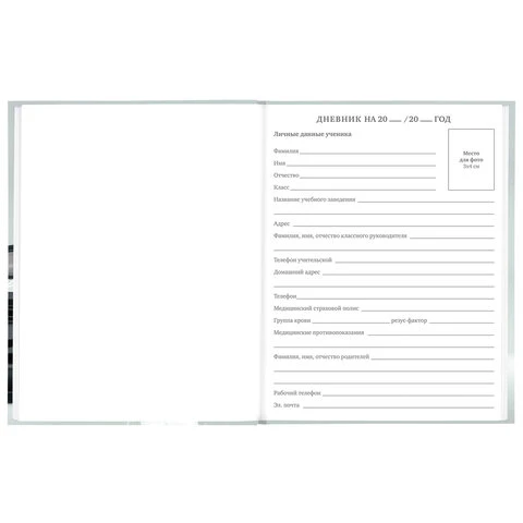 Дневник 5-11 класс 48 л., твердый, BRAUBERG, выборочный лак, с подсказом,