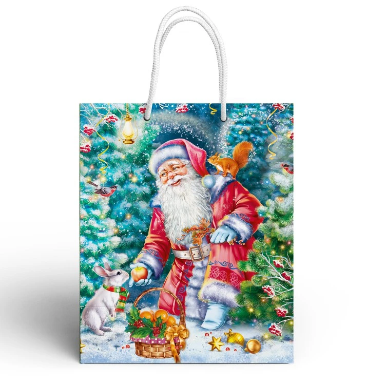 Пакет подарочный "Дед Мороз -2", 335*406*155 мм