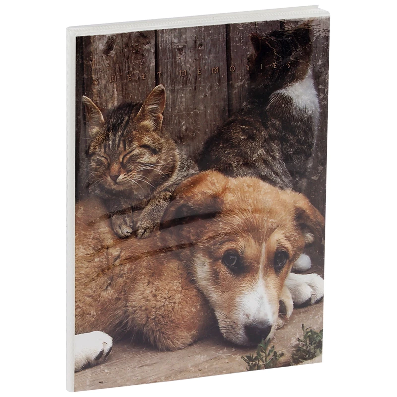 Фотоальбом 36 фото 10*15см, ArtSpace "Friends", мягкая обложка, ПП Фотоальбом 36 фото 10*15см, ArtSpace "Friends", мягкая обложка, ПП