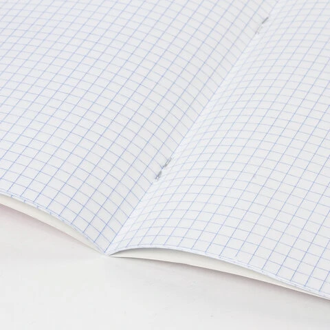 Тетрадь 18 л. BRAUBERG КЛАССИКА NEW клетка, обложка картон, СИНЯЯ, 105699 Тетрадь 18 л. BRAUBERG КЛАССИКА NEW клетка, обложка картон, СИНЯЯ, 105699