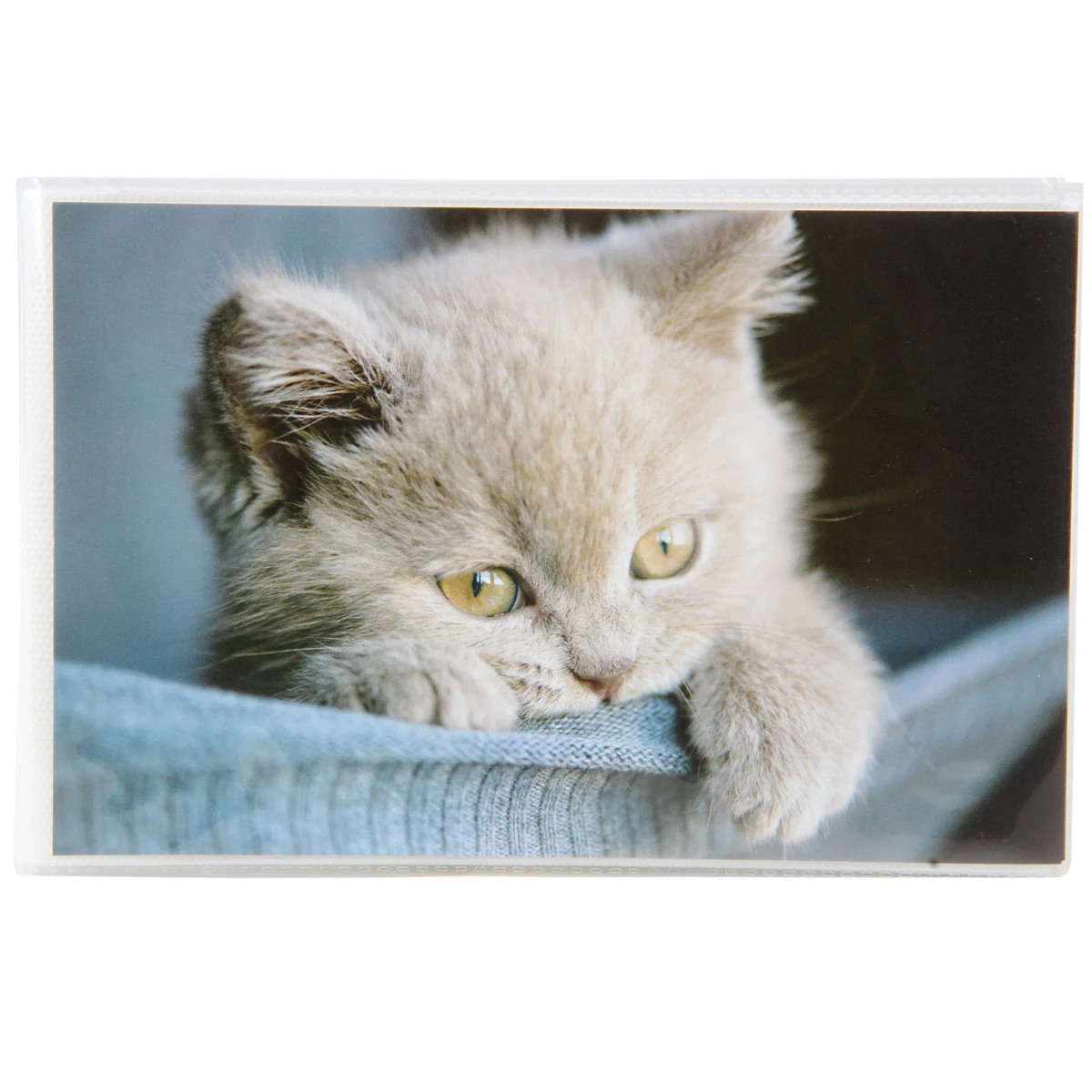 Фотоальбом 36ф 10X15см, ПП карм., мягкая обложка