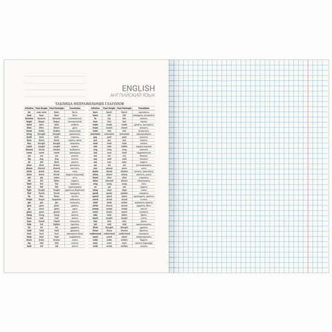 Тетрадь предметная "КЛАССИКА NEW" 48 л., обложка картон, АНГЛИЙСКИЙ