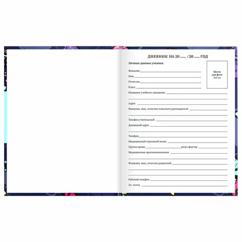 Дневник 1-11 класс 40 л., твердый, BRAUBERG, глянцевая ламинация,