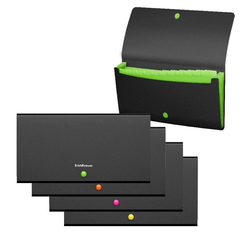 Папка-картотека пластиковая Erich Krause Matt Accent, с 12 отделениями, Check Папка-картотека пластиковая Erich Krause Matt Accent, с 12 отделениями, Check