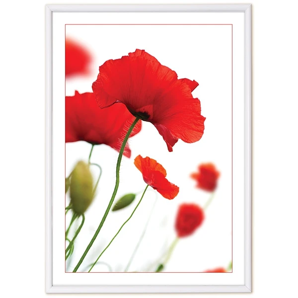 Фоторамка пластиковая 21Х29,7 см poster white/12