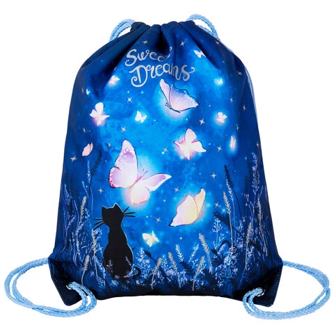 Мешок для обуви BRAUBERG PREMIUM, карман, подкладка, светоотражающие элементы,