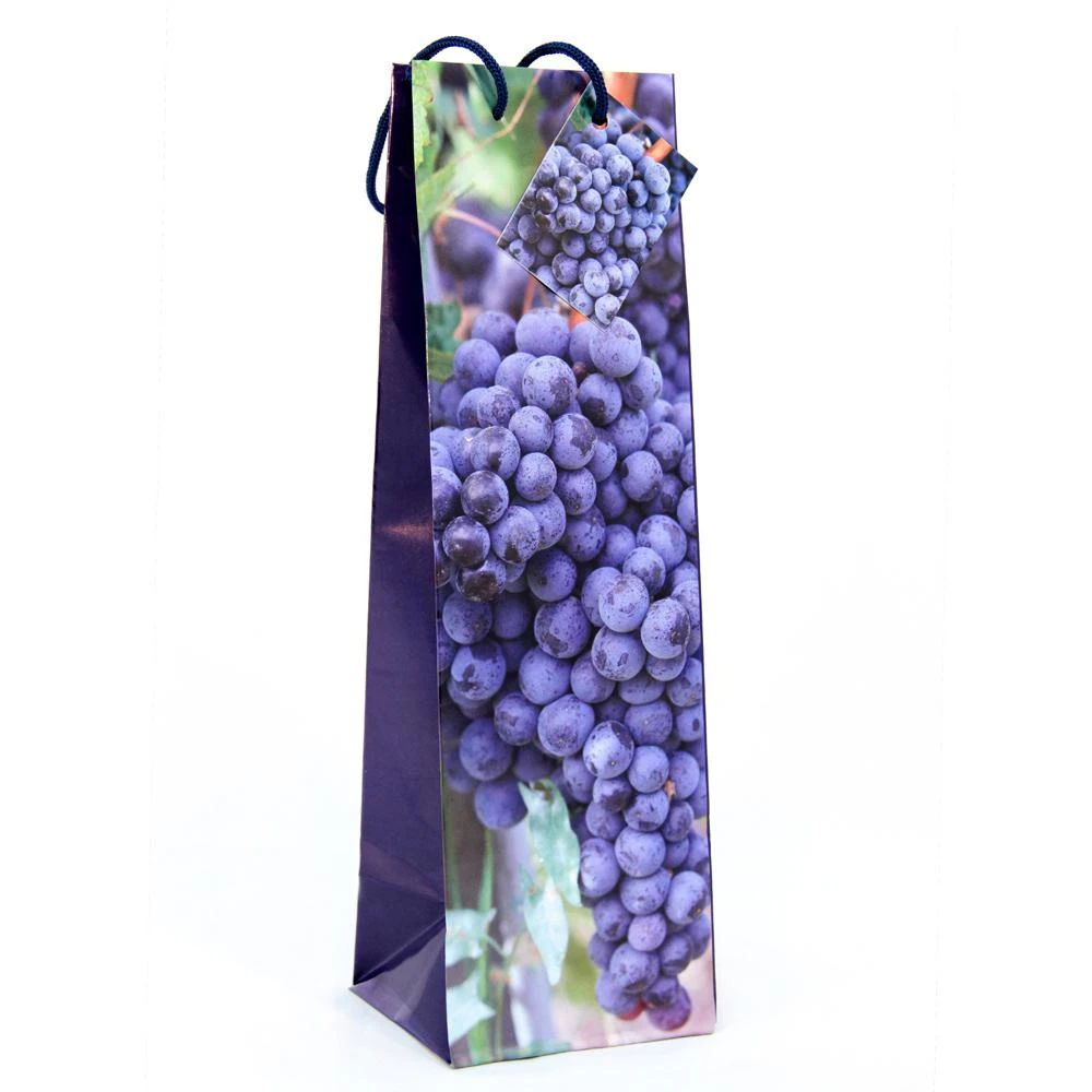 Пакет бутылка 10X33X9 см печать every day