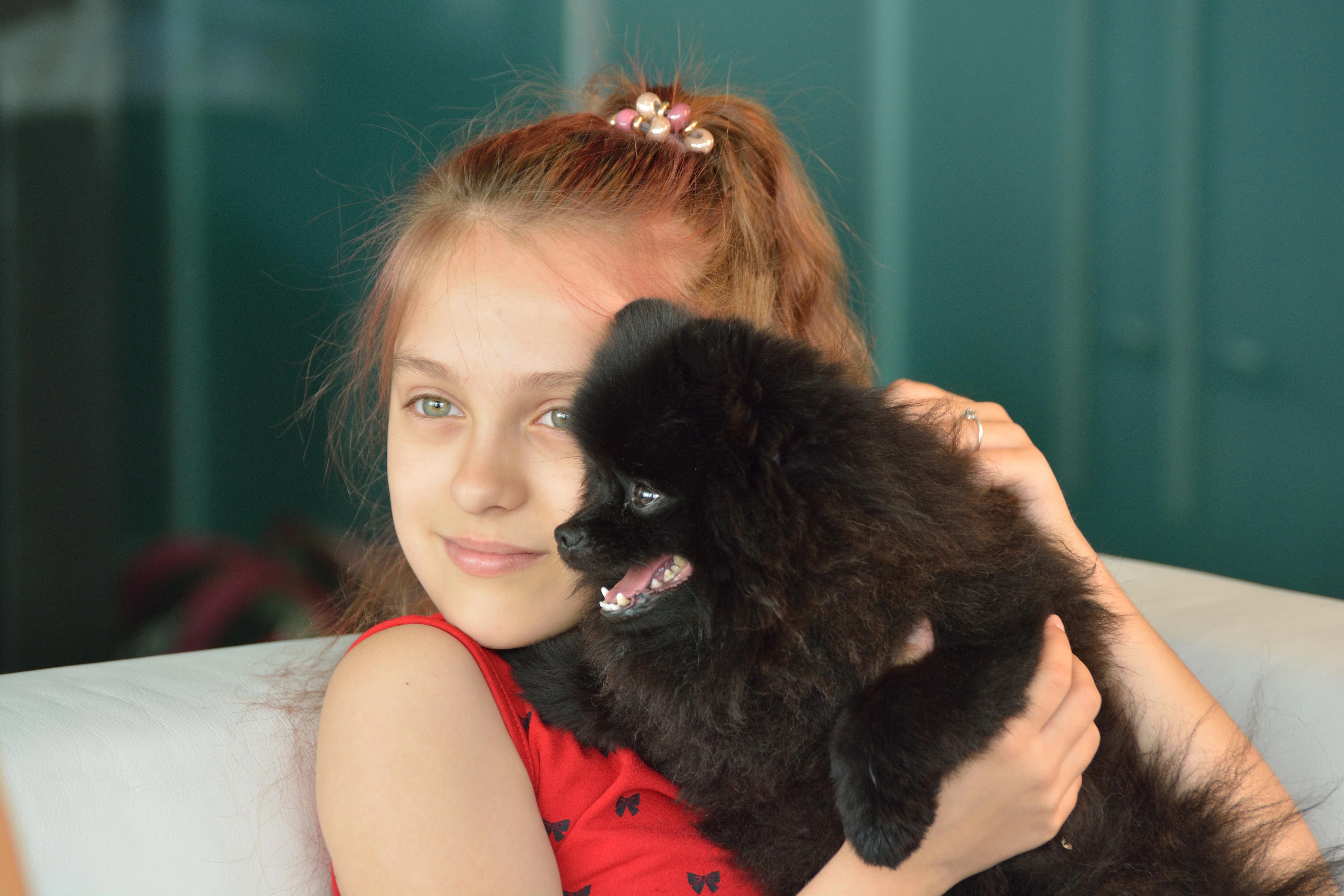 РЕЗИНКА ДЛЯ ВОЛОС "ВЕЛИКОЛЕПНОЕ ТРИО" 1 ШТ, 2 ЦВЕТА РЕЗИНКА ДЛЯ ВОЛОС "ВЕЛИКОЛЕПНОЕ ТРИО" 1 ШТ, 2 ЦВЕТА