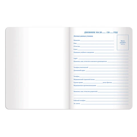 Дневник 1-11 класс 48 л., обложка кожзам (лайт), термотиснение, BRAUBERG LATTE, Дневник 1-11 класс 48 л., обложка кожзам (лайт), термотиснение, BRAUBERG LATTE,