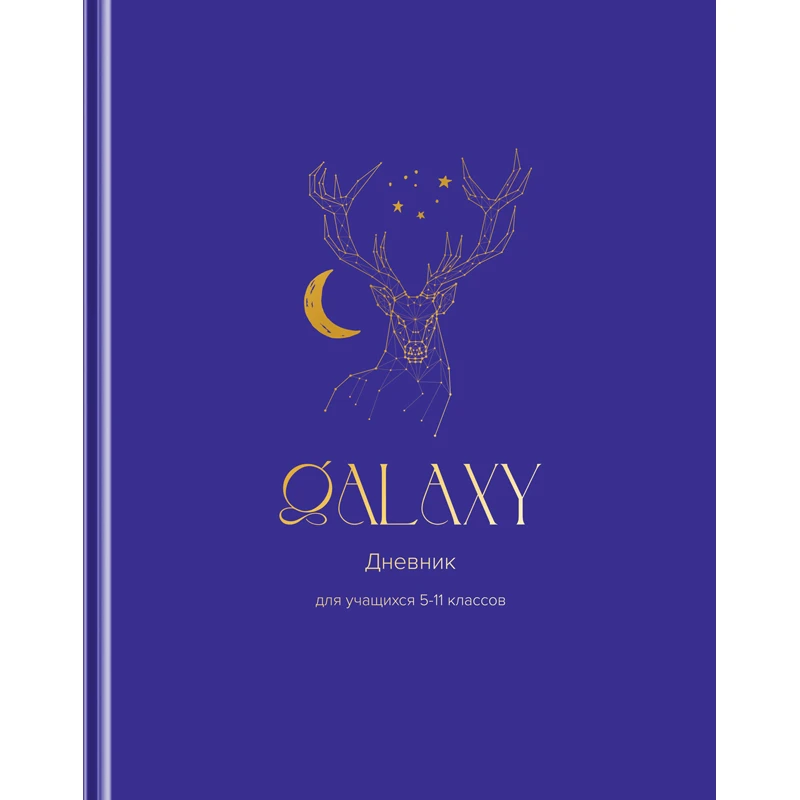Дневник 5-11 кл. 48 листов (твердый) BG "Galaxy", матовая ламинация,