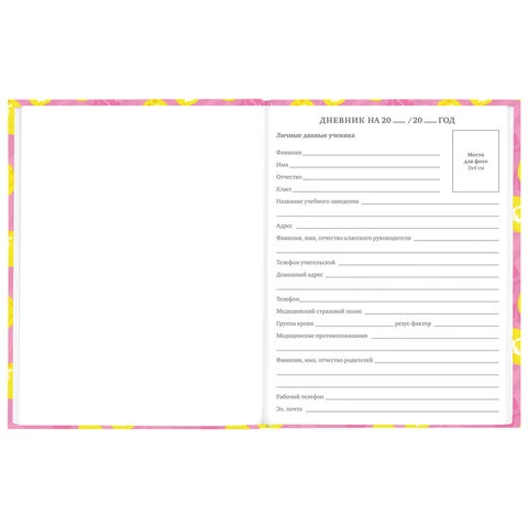 Дневник 5-11 класс 48 л., твердый, BRAUBERG, выборочный лак, с подсказом,