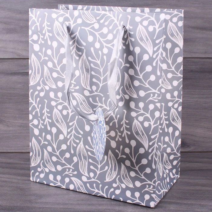 Пакет подарочный 18,5*10,5*23см "Darvish" ассорти