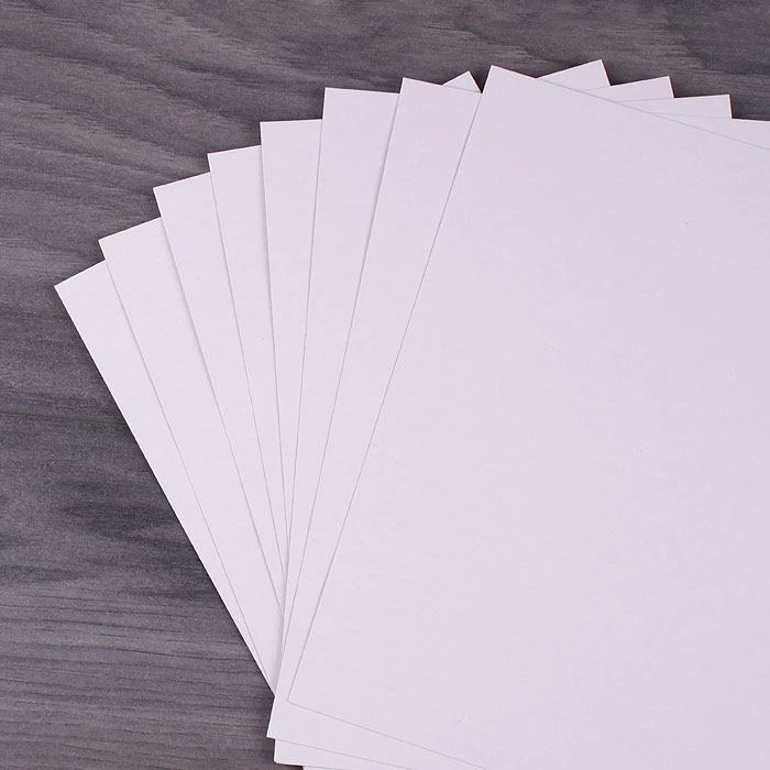 Картон белый А4 8л. "Пингвин" в папке