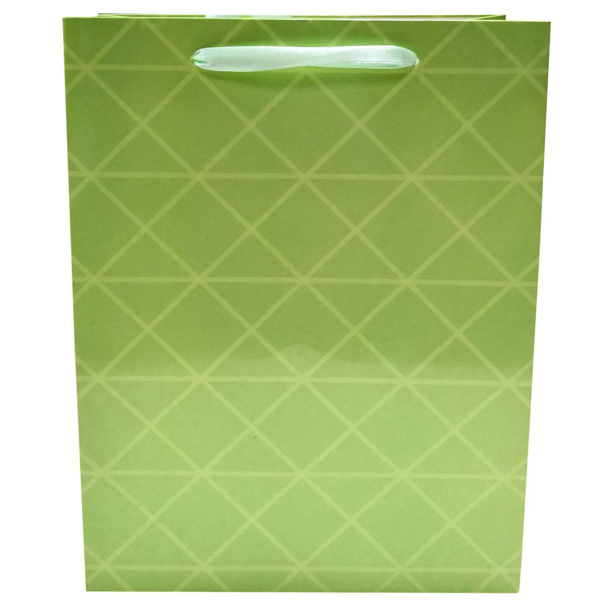 Подарочный пакет ср. 17.8X22.9X9.8 см, ламинированный. 63785