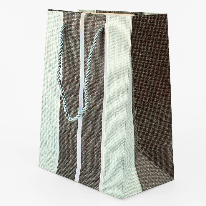 Пакет подарочный 23*18*10см "Darvish" фактурный ассорти Пакет подарочный 23*18*10см "Darvish" фактурный ассорти