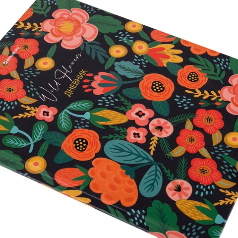 Дневник 5-11 класс 48 л., твердый, BRAUBERG, выборочный лак, с подсказом, Дневник 5-11 класс 48 л., твердый, BRAUBERG, выборочный лак, с подсказом,