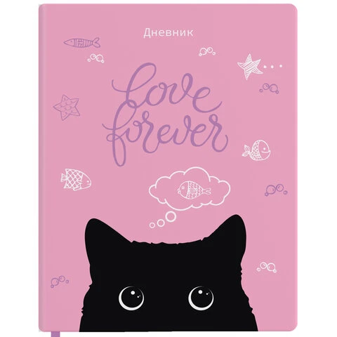 Дневник 1-11 класс 48 л., кожзам (твердая с поролоном), печать, наклейки,