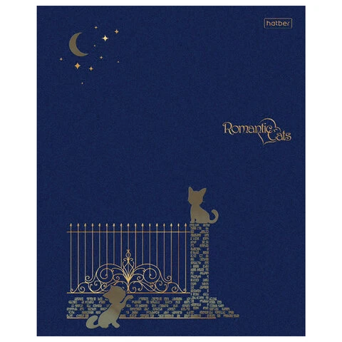 Тетрадь А5 48 листов HATBER скоба, клетка, матовая ламинация, 3D, Тетрадь А5 48 листов HATBER скоба, клетка, матовая ламинация, 3D,