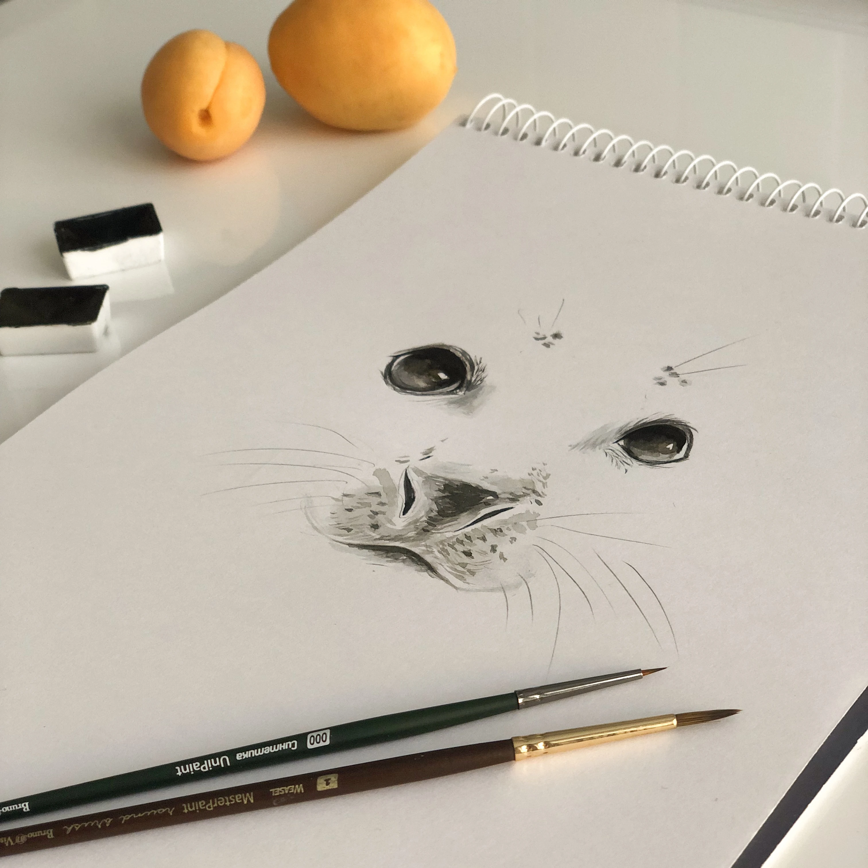 КИСТЬ КОЛОНОК КРУГЛАЯ №1 КИСТЬ КОЛОНОК КРУГЛАЯ №1