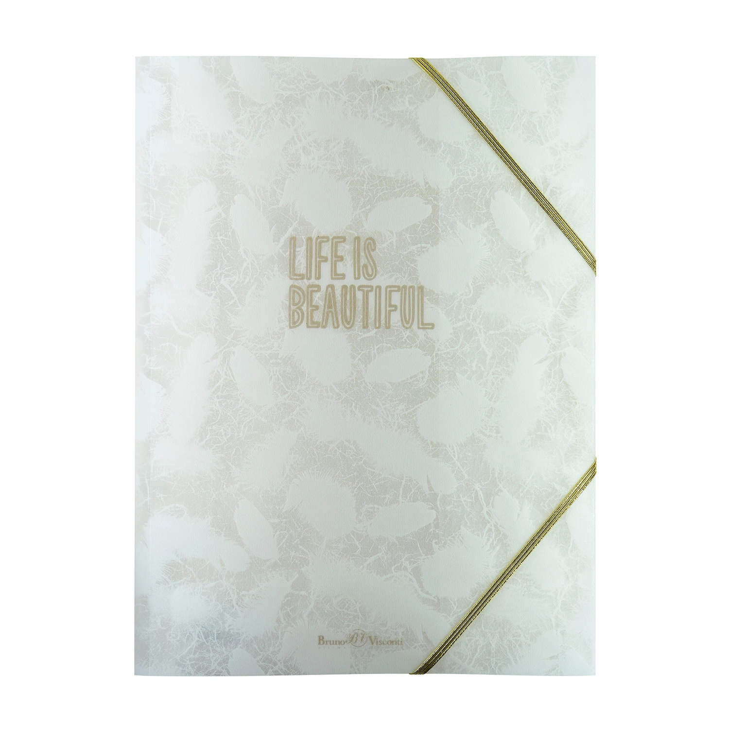 ПАПКА ФАЙЛ НА РЕЗИНКЕ "ЛИСТОЧКИ. ПЕРЫШКИ", А4, 2 ВИДА ПАПКА ФАЙЛ НА РЕЗИНКЕ "ЛИСТОЧКИ. ПЕРЫШКИ", А4, 2 ВИДА