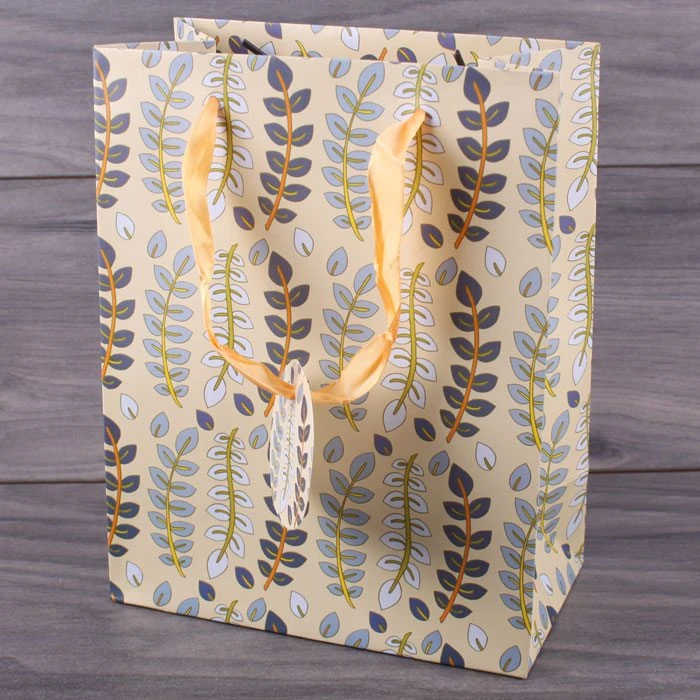 Пакет подарочный 18,5*10,5*23см "Darvish" ассорти