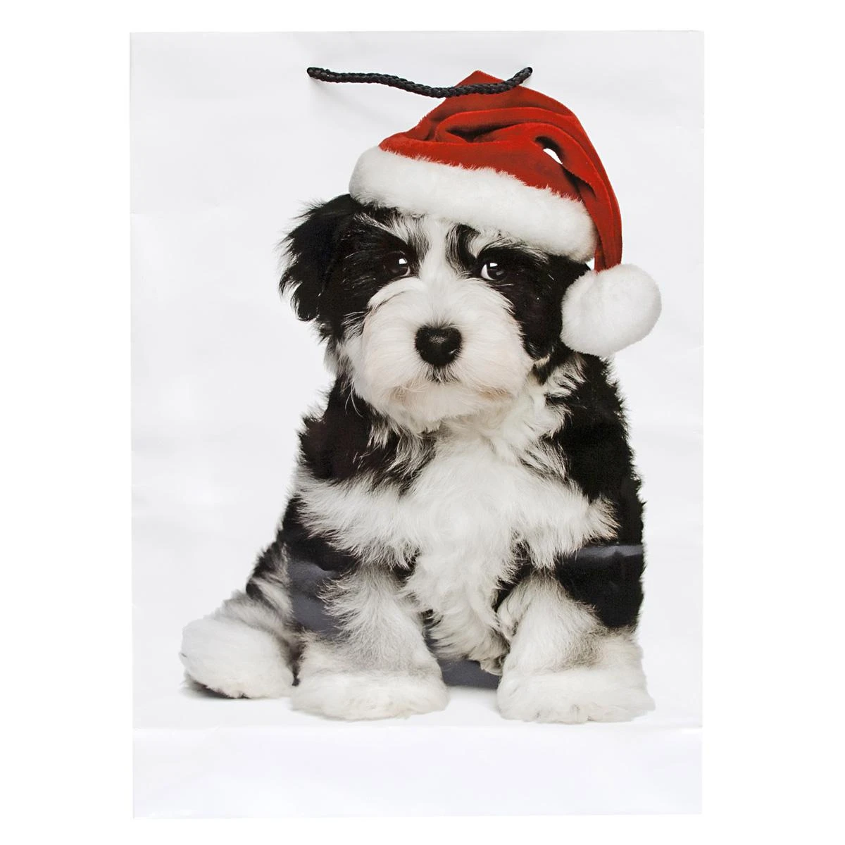 Набор из 12 Пакетов Символ года, 32х44х10 см Набор из 12 Пакетов Символ года, 32х44х10 см