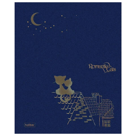 Тетрадь А5 48 листов HATBER скоба, клетка, матовая ламинация, 3D, Тетрадь А5 48 листов HATBER скоба, клетка, матовая ламинация, 3D,