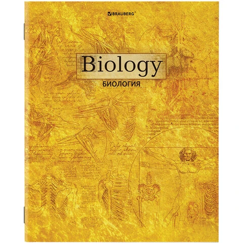 Тетради предметные, КОМПЛЕКТ 10 ПРЕДМЕТОВ, GOLD, 48 листов, металлизированный